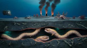 Giant worms found beneath the ocean floor leave scientists stunned