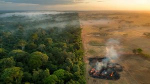The proof that destroying forests changes the climate: a deforested zone warmed by 4°C